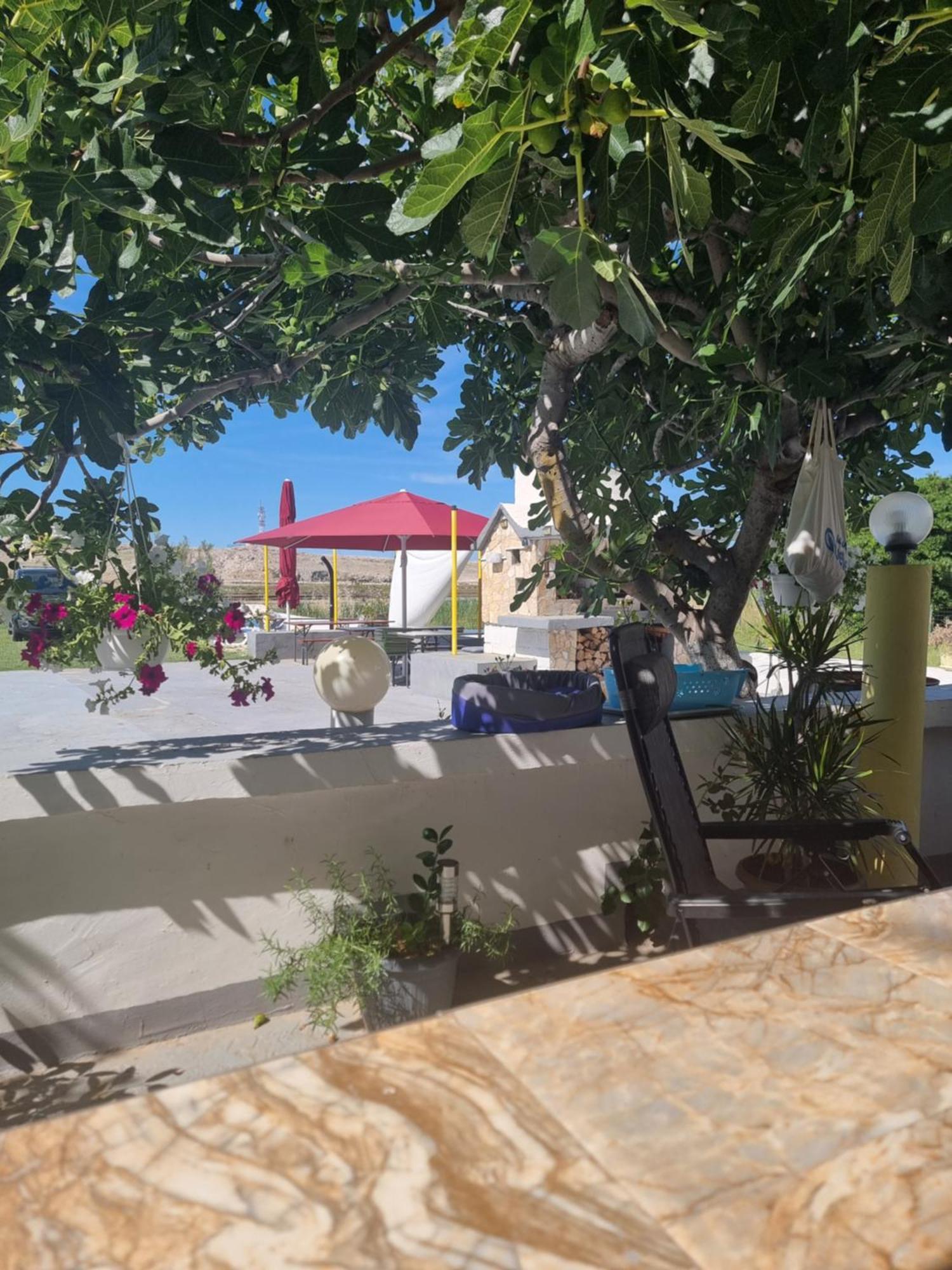 Apartmani Alen Dinjiška Dış mekan fotoğraf