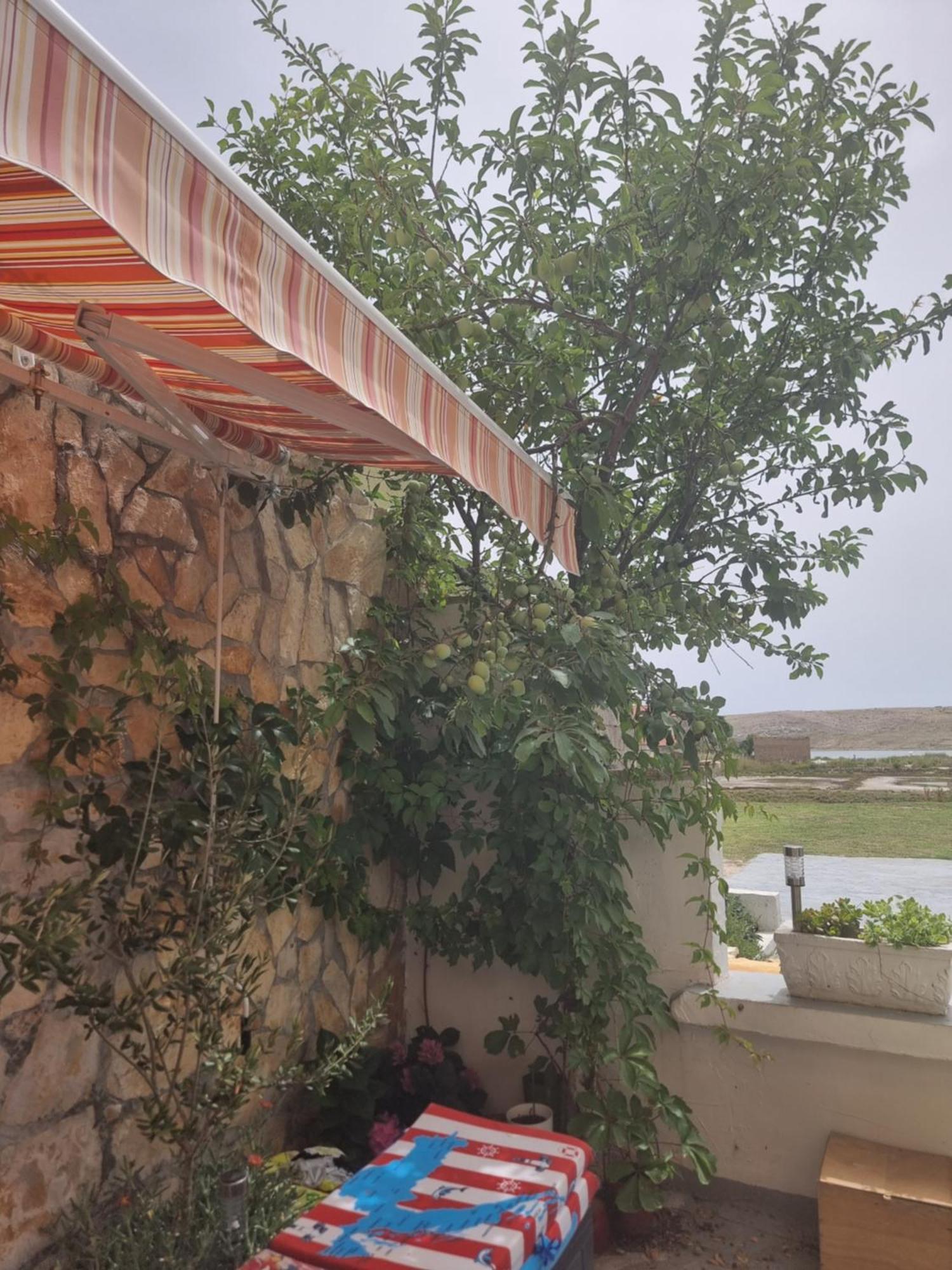 Apartmani Alen Dinjiška Dış mekan fotoğraf